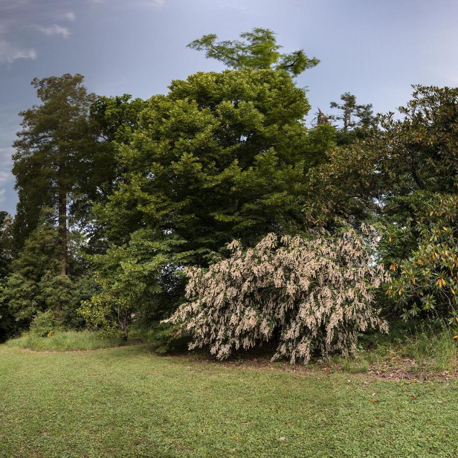 Le Domaine De Langlardie Soudat Zewnętrze zdjęcie