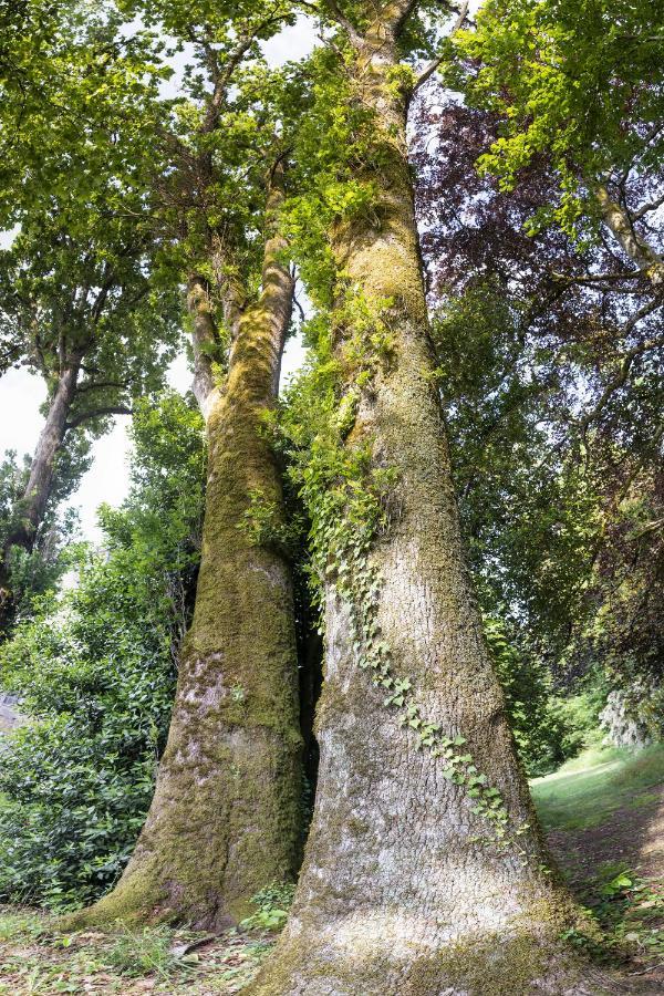 Le Domaine De Langlardie Soudat Zewnętrze zdjęcie